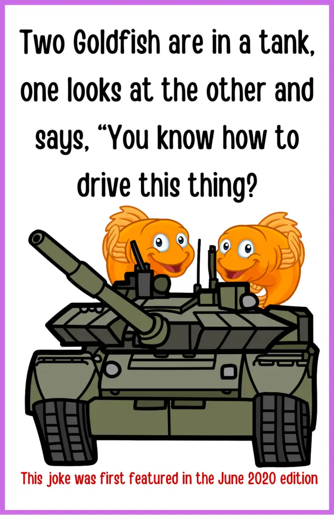 Picture of goldfish in a tank and the joke:Two Goldfish are in a tank, one looks at the other and says, “You know how to drive this thing?